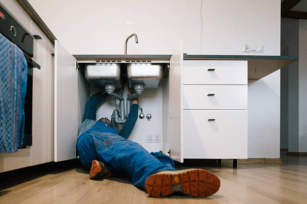 Professional Plumbing technician working in Worden, IL
